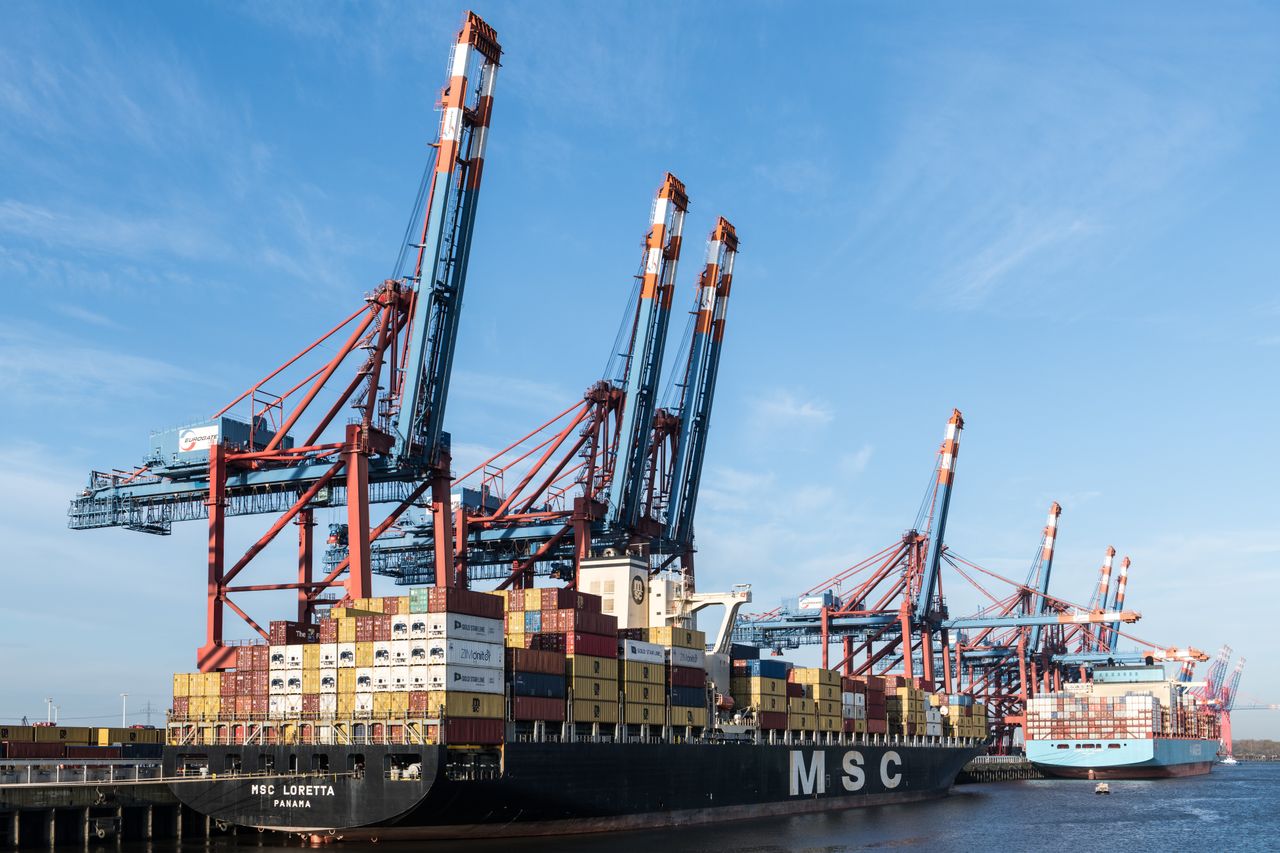 Container ships and cranes at Hamburg port showcasing bustling shipping activity.